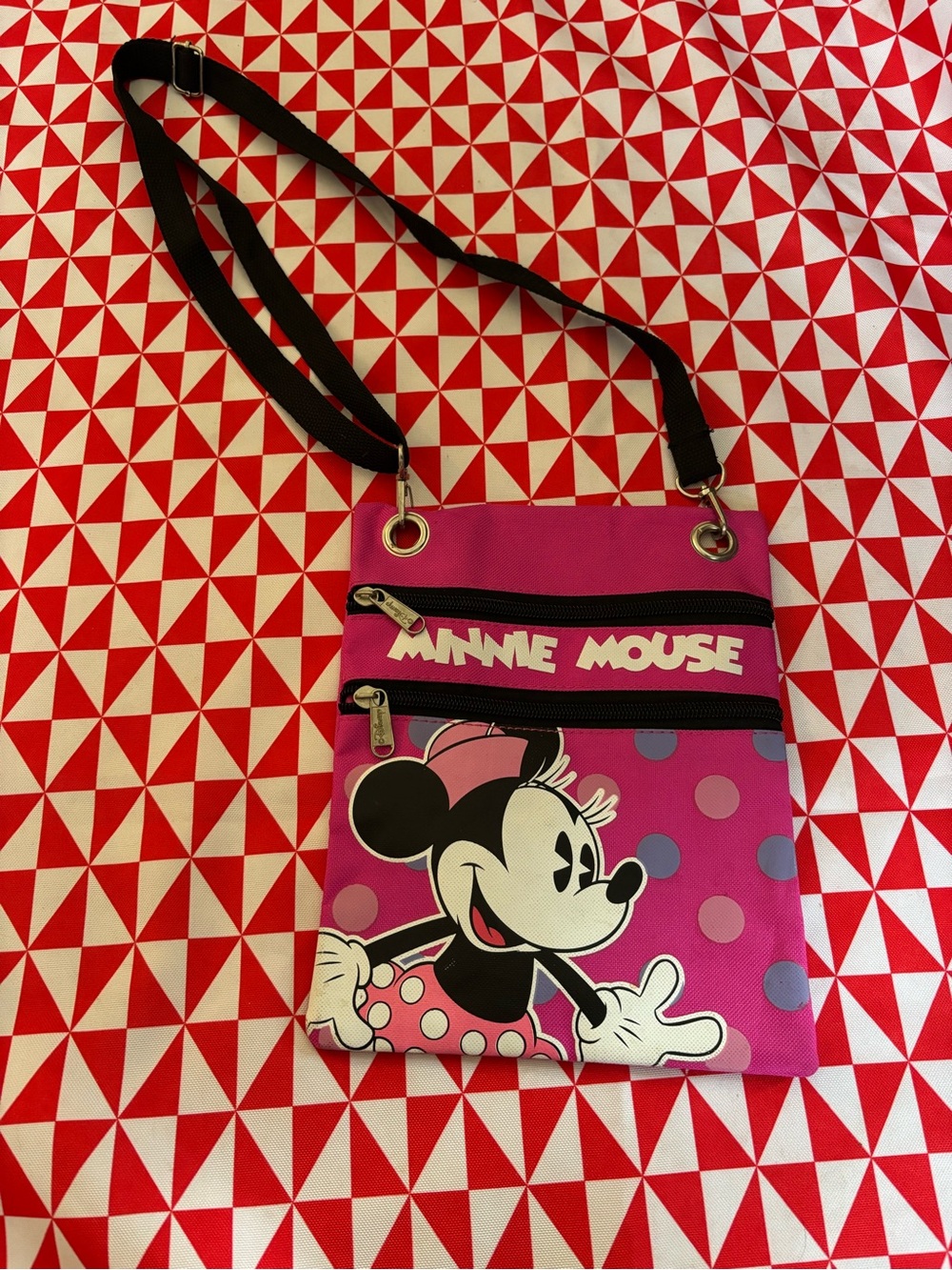 Minnie Mouse bag (stain on back)